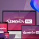 Elementor Pro with Addon license key