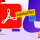 Acrobat Pro DC 2022  (Windows)