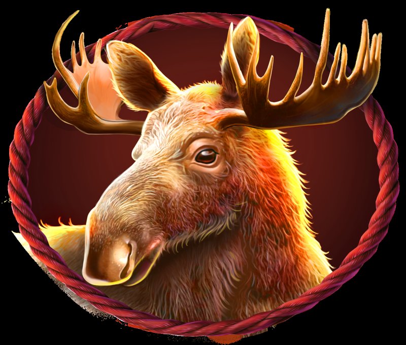 Comparativa de Buffalo King con otras tragamonedas famosas in Peru