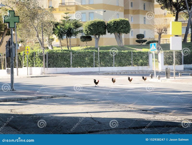 Descubre el Emocionante Juego de Azar de la Carretera de Pollo en España - overview